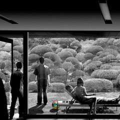 Parasite (2019) photo