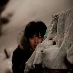 Wild Dogs Korean Movie photo