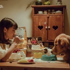 Animal Whisper Taiwanese Drama photo