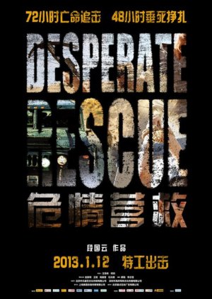Desperate Rescue (2013) poster
