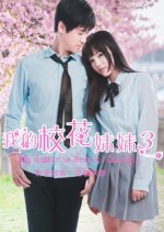 My Sister Is School Queen 3 Chinese Movie photo