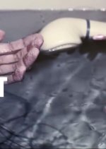 Fish Bowl Korean Movie photo