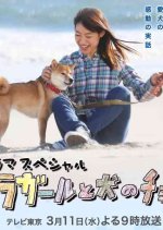 Hula Girl to Inu no Choco Japanese Drama photo