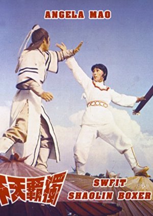 Swift Shaolin Boxer (1978) poster