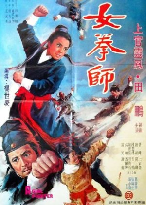 A Girl Fighter (1972) poster