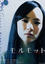 Marmot Japanese Movie photo