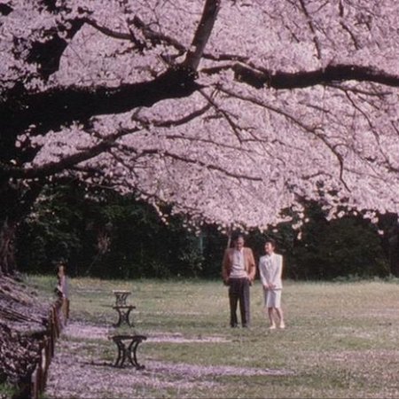 The Cherry Orchard (1990)