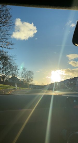 hollie_ky