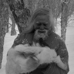 Seven Days Chinese Movie(2016) photo