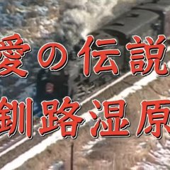 Totsugawa Keibu Series 32: Ai no Densetsu Kushiro Shitsugen Japanese Drama photo