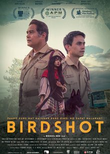Birdshot (2016) poster