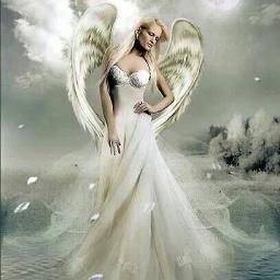 Whitedove
