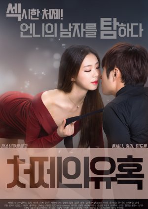 Sister-in-law's Seduction (2017) poster