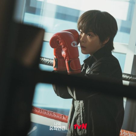 Love in Disguise (2026)