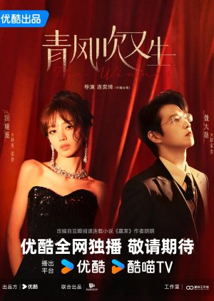 The Winner poster