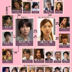 Plastic Beauty Japanese Drama(2026) photo