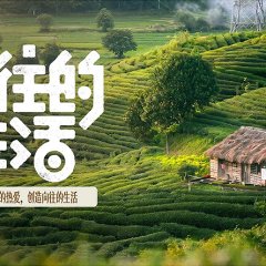 Back to Field 2007 Chinese TV Program(2027) photo