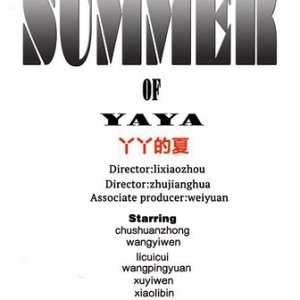 The Summer of YaYa (2017)