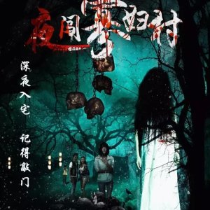 Visit the Widow Village in the Night (2017)