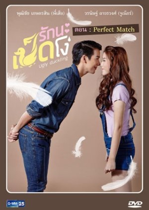 Ugly Duckling Series: Perfect Match (2015) poster