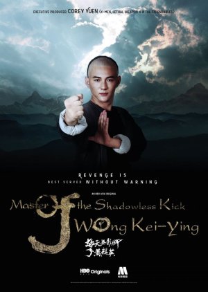 Master Of The Shadowless Kick: Wong Kei-Ying (2016) poster