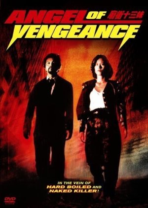 Angel of Vengeance (1993) poster