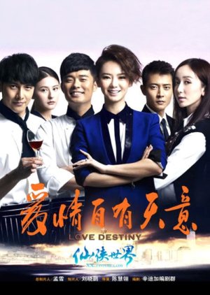 Love Destiny (2013) poster