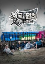 Law of the Jungle in Wild New Zealand