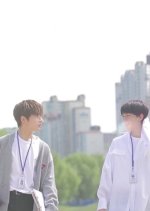 Stray Directors Korean Drama photo