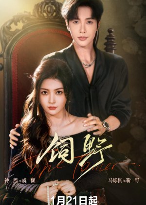 Taming Love (2026) poster