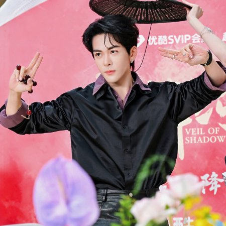 Veil of Shadows (2026)