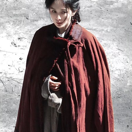 Northern Wei Dynasty ()