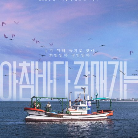 The Land of Morning Calm (2024)
