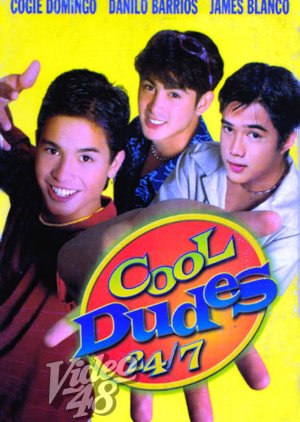 Cool Dudes 24/7 (2001) poster