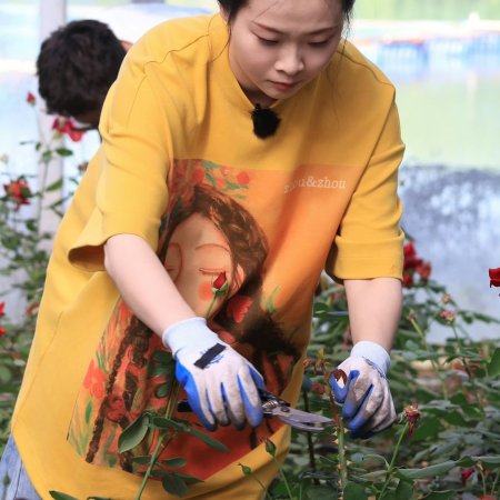 Become a Farmer Season 4 (2026)