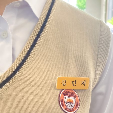 Agent Kim Reactivated (2026)