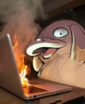 ShyDuck