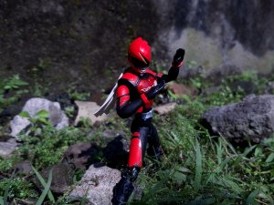 fikuppe