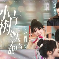 An Lian De Xiao Qing Mei Ta Ren Mei Ge Tian Chinese Drama photo
