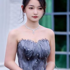 Li Ao Wen photo