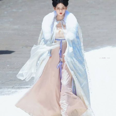 The Palace Stewardess ()