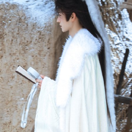 The Legend of Lu Xiaofeng ()