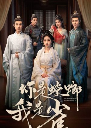 Shadows within the Household (2025) poster