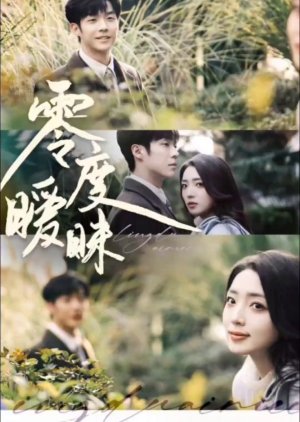 Ling Du Ai Mei (2025) poster