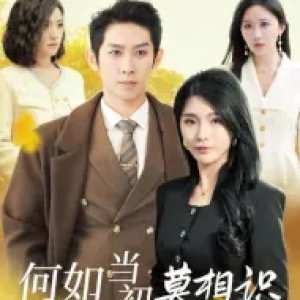 He Ru Dang Chu Mo Xiang Shi (2024)