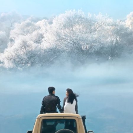 The White Olive Tree (2025)