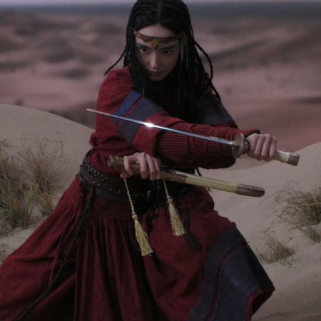 Legends of the Condor Heroes: The Gallants (2025)
