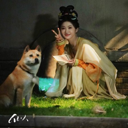 Si Jin (2025)