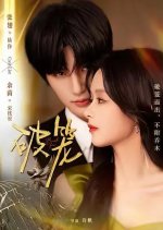 Break Free Chinese Drama(2025) photo