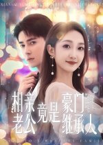 Heir to a Wealthy Family Chinese Drama(2024) photo